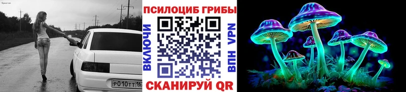 Галлюциногенные грибы Psilocybe  Лесозаводск 
