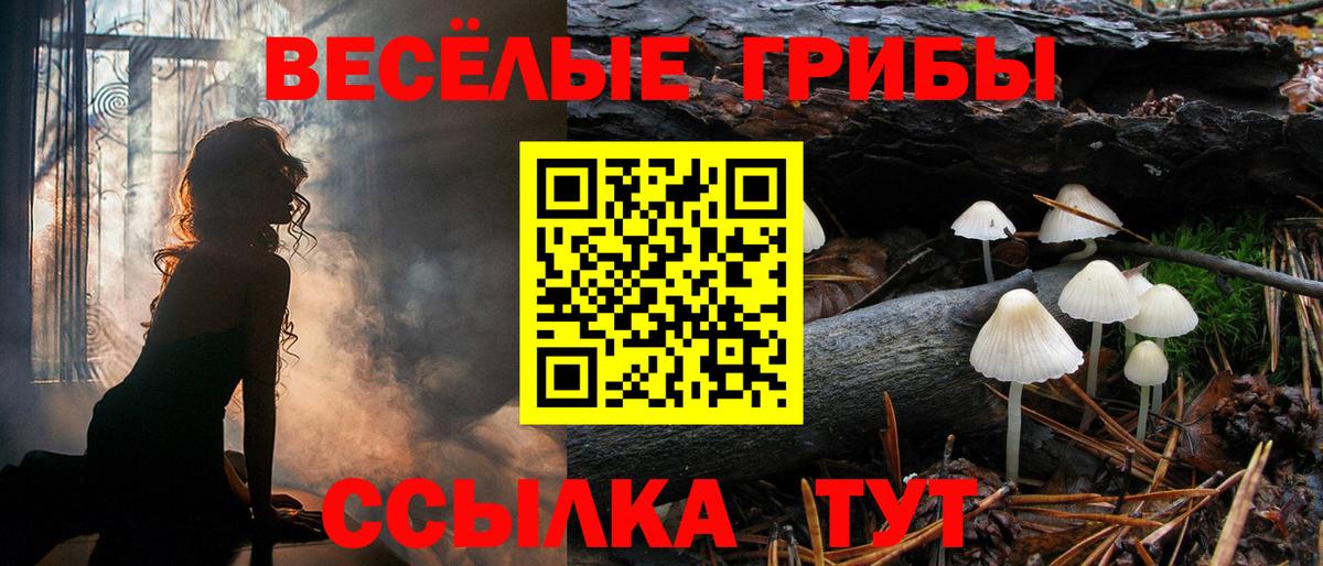 Псилоцибиновые грибы ЛСД  Галлюциногенные грибы ЛСД  Вход с VPN  Лесозаводск 